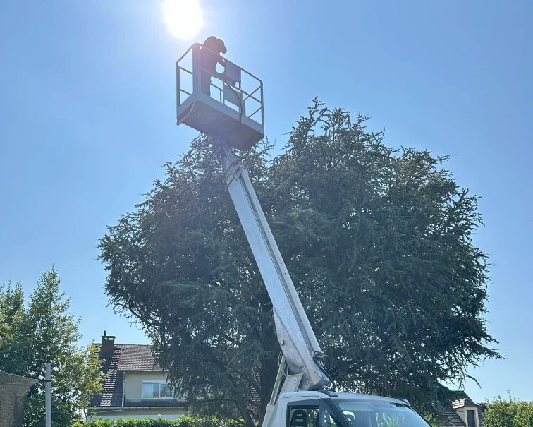 Grue élévatrice atteignant la cime des arbres, avec une personne dans la nacelle sous le soleil.